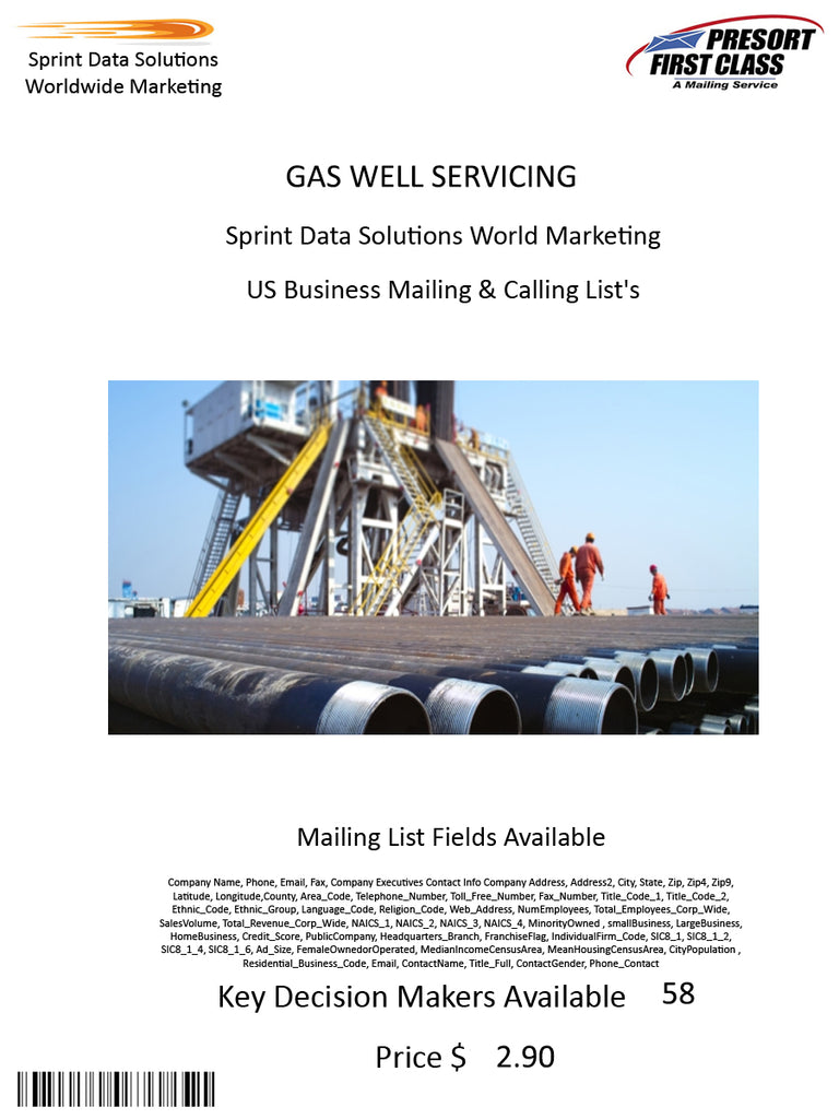 GAS WELL SERVICING