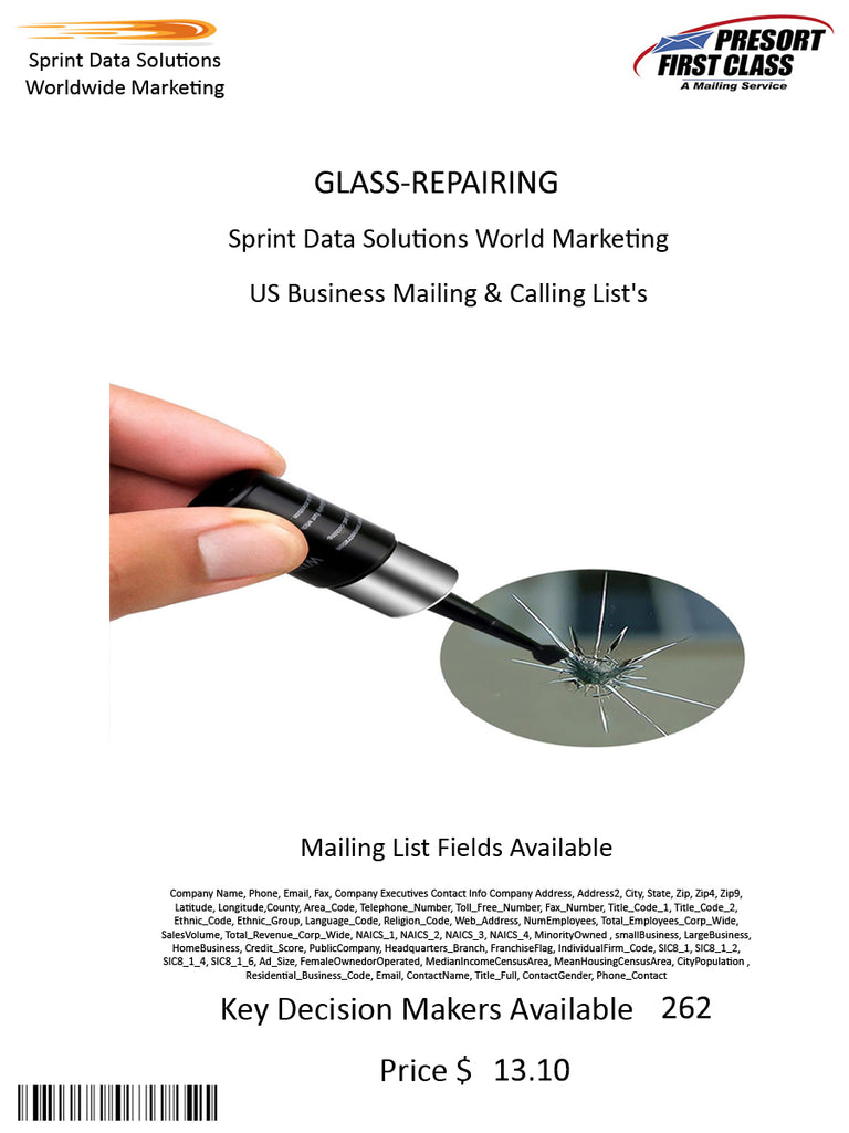 GLASS-REPAIRING