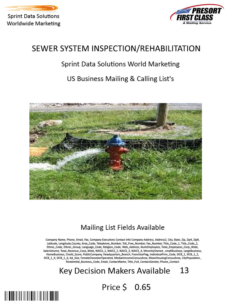 SEWER SYSTEM INSPECTION/REHABILITATION