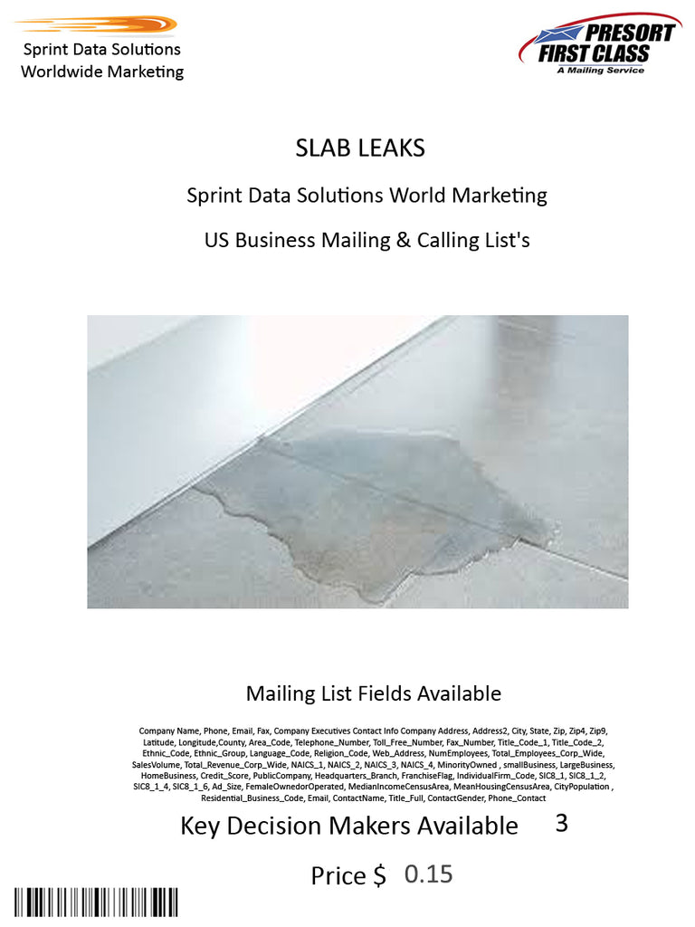 SLAB LEAKS