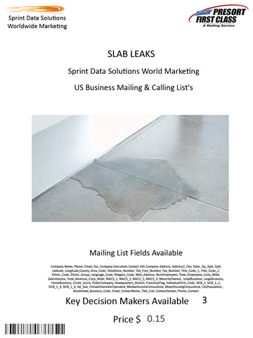 SLAB LEAKS