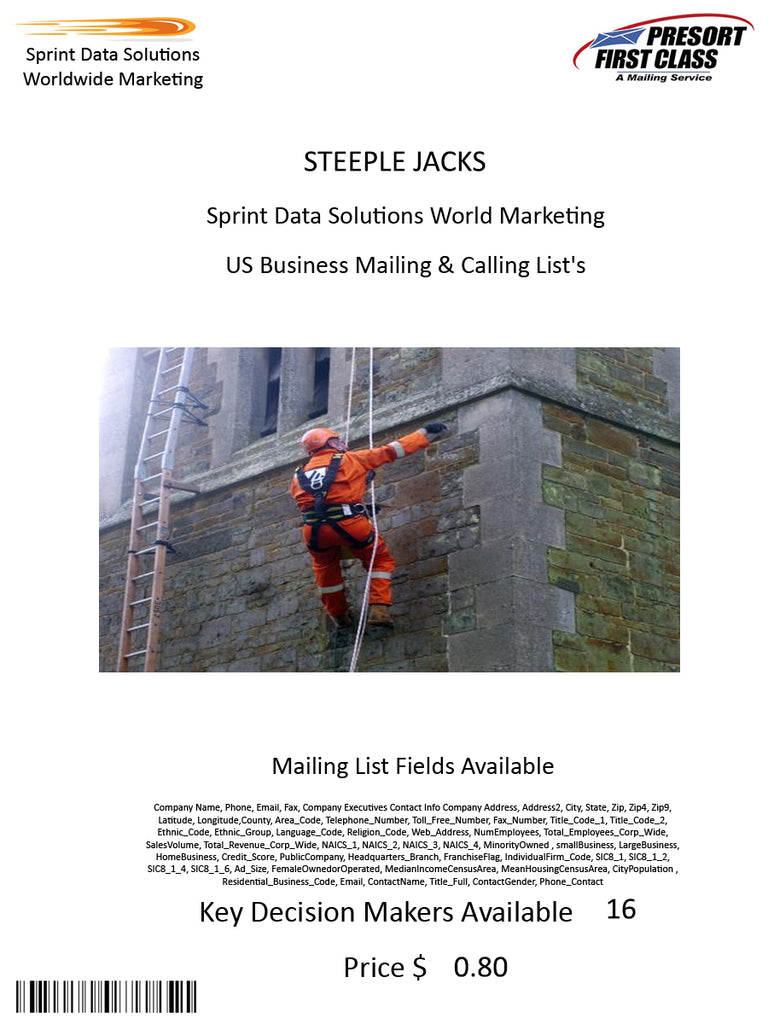 STEEPLE JACKS