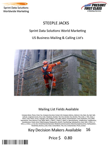 STEEPLE JACKS