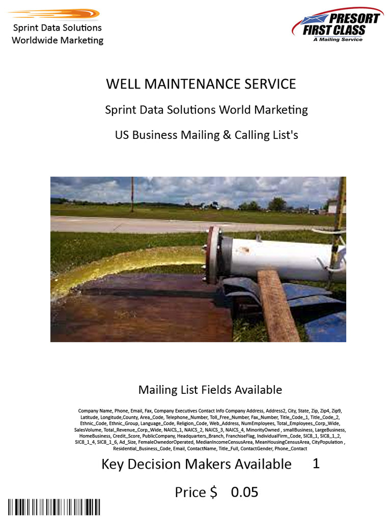 WELL MAINTENANCE SERVICE