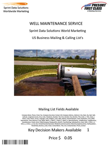 WELL MAINTENANCE SERVICE