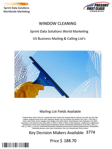 WINDOW CLEANING