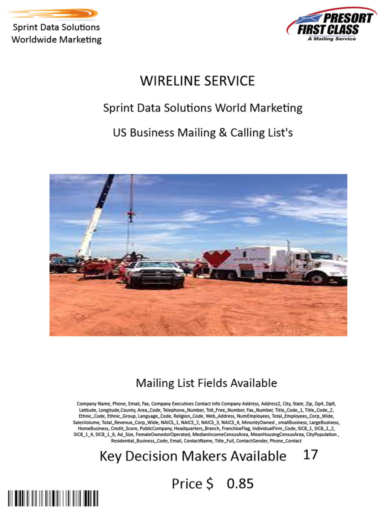 WIRELINE SERVICE